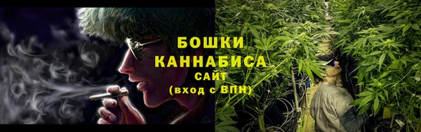 сатива Аша