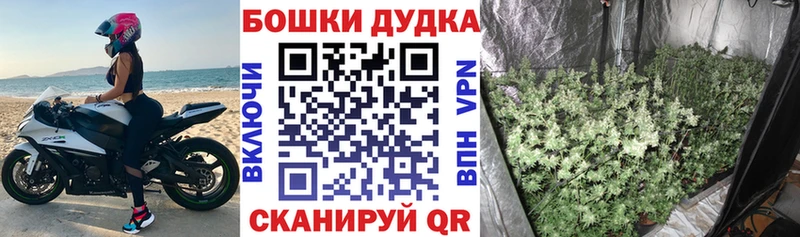 Марихуана семена  Шуя 